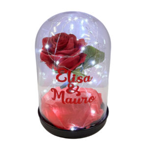 Campana Personalizzata con rosa luci LED e scritta