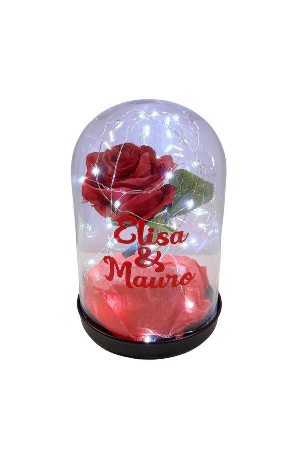 Campana Personalizzata con rosa luci LED e scritta